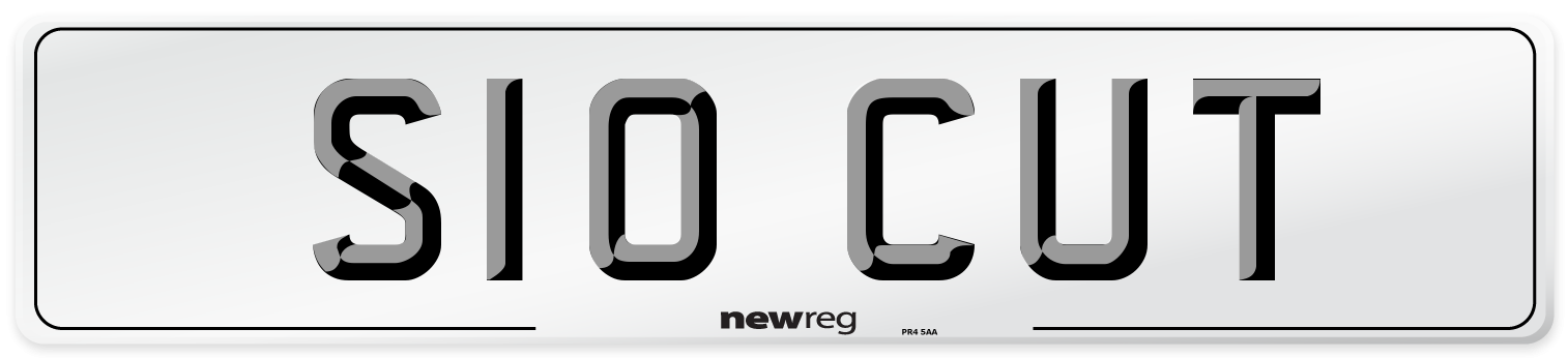 S10 CUT Number Plate from New Reg